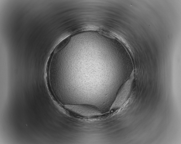 X0000094171042200711091120