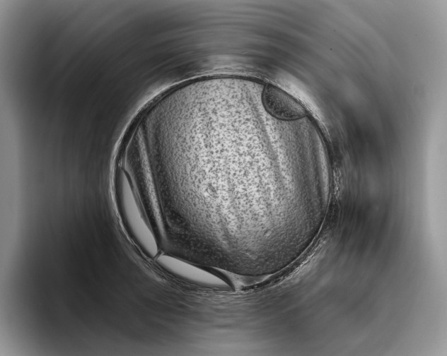 X0000094171043200711091120