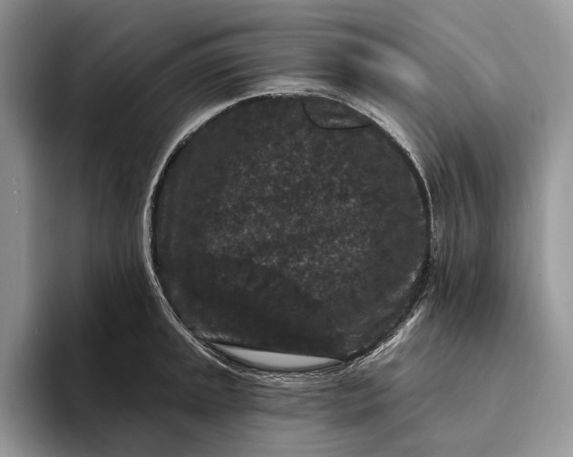 X0000094171045200711091120