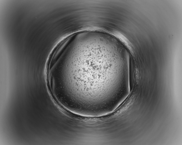 X0000094171046200711091120