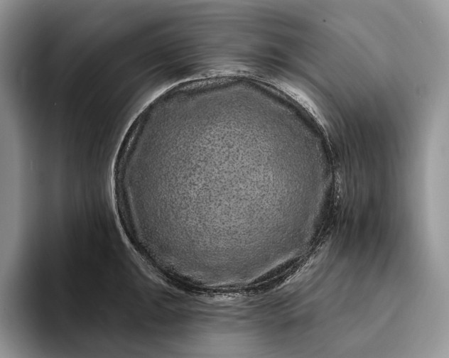 X0000094171047200711091120