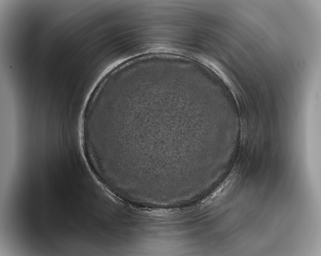 X0000094171048200711091120