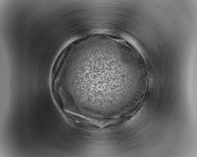 X0000094171050200711091120