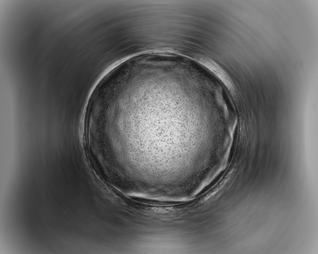X0000094171052200711091120