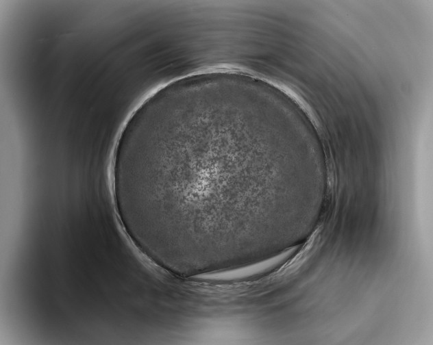 X0000094171054200711091120