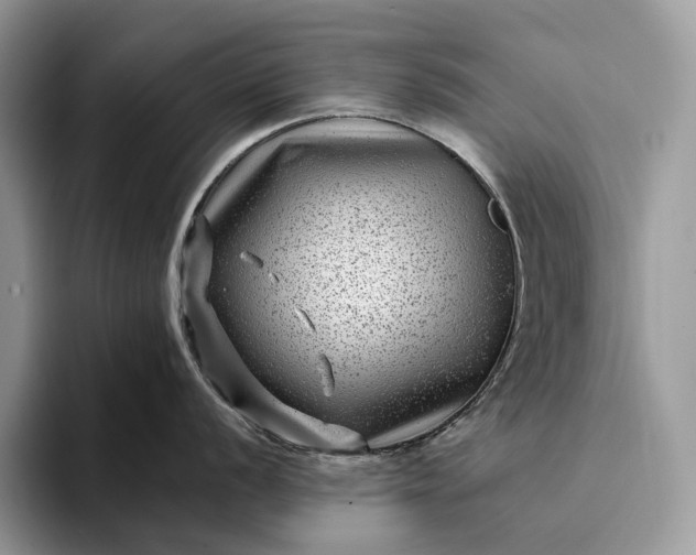 X0000094171056200711091120