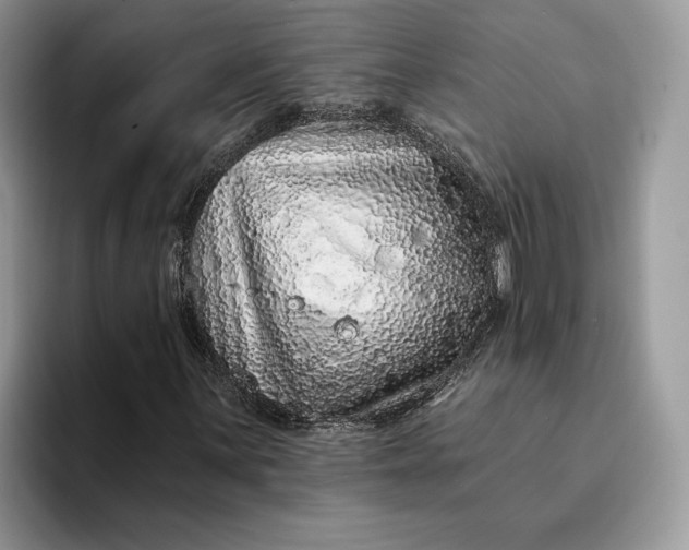 X0000094171059200711091120