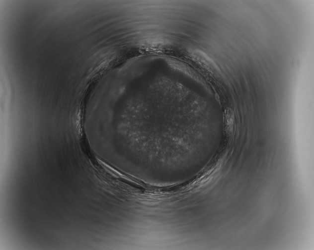 X0000094171060200711091120