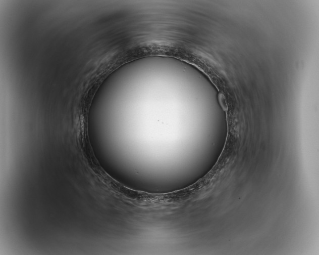 X0000094171061200711091120