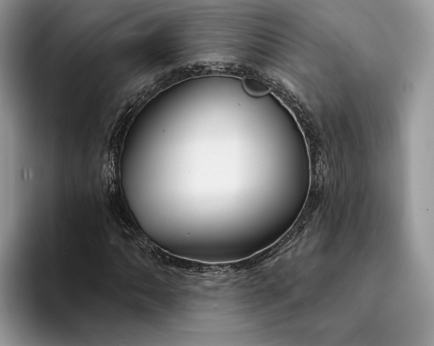 X0000094171062200711091120