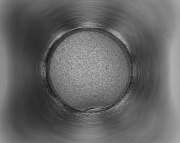 X0000094171067200711091120