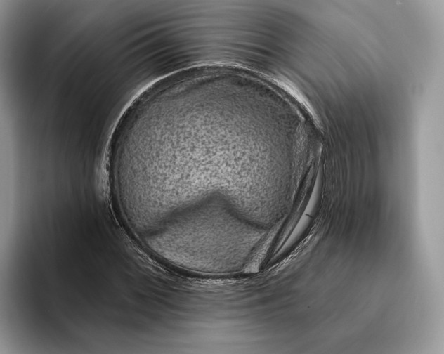 X0000094171068200711091120