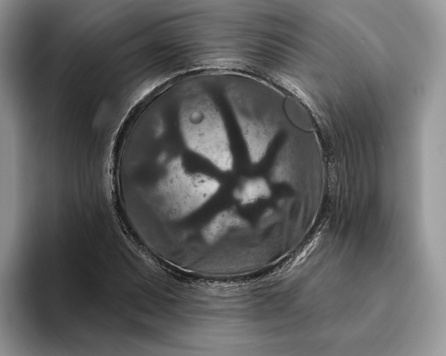 X0000094171071200711091120
