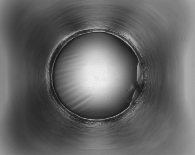 X0000094171072200711091120