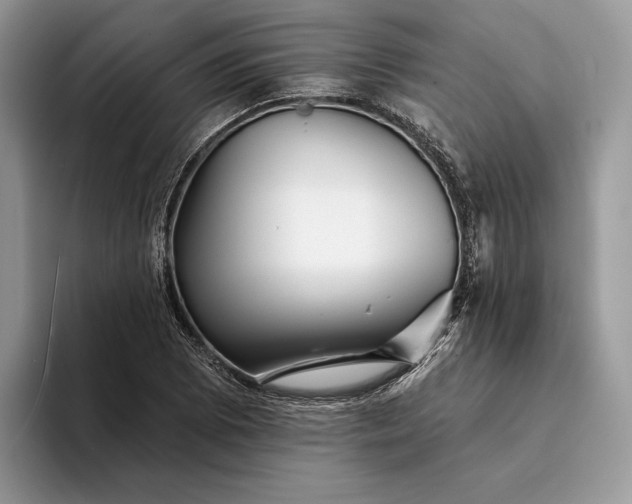 X0000094171073200711091120
