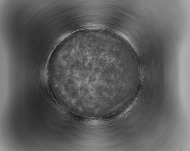 X0000094171074200711091120