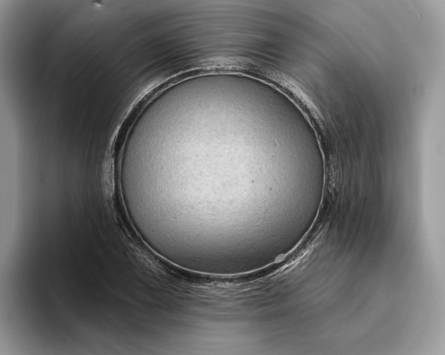 X0000094171075200711091120