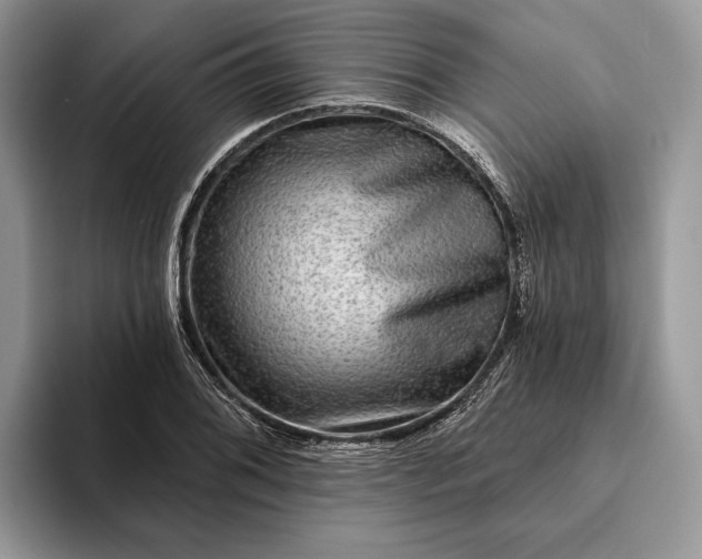 X0000094171076200711091120