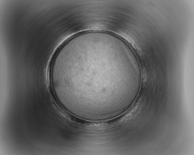 X0000094171078200711091120