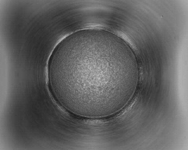 X0000094171079200711091120