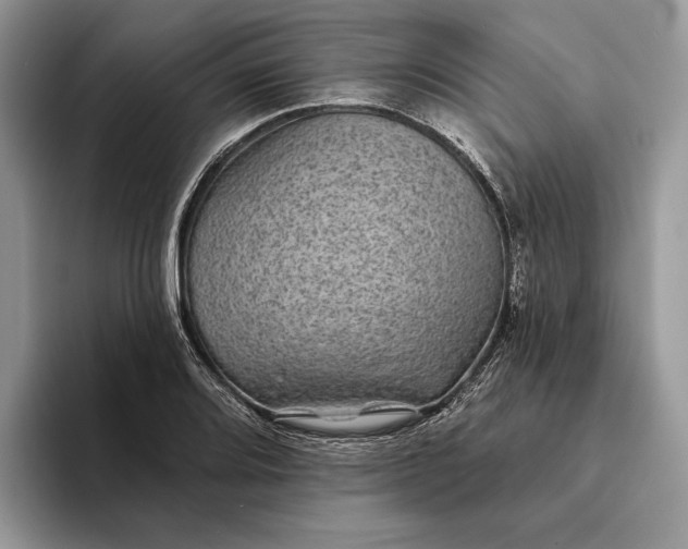 X0000094171080200711091120