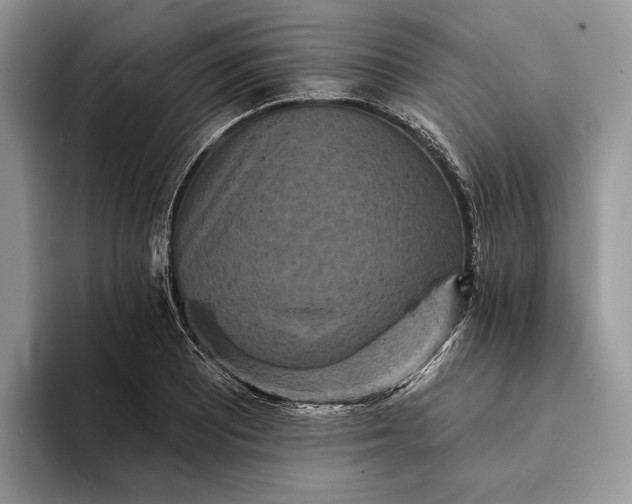 X0000094171081200711091120