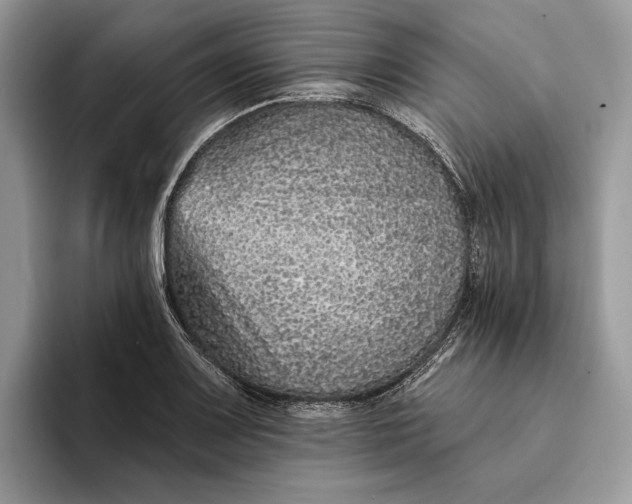 X0000094171083200711091120