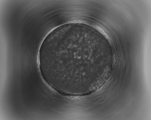 X0000094171084200711091120