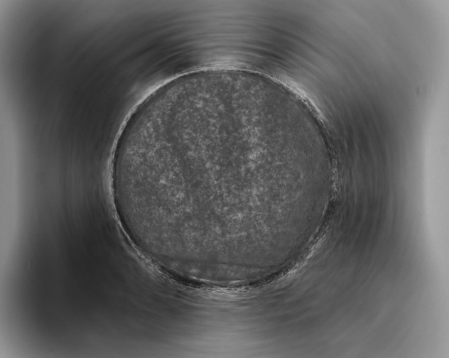 X0000094171086200711091120