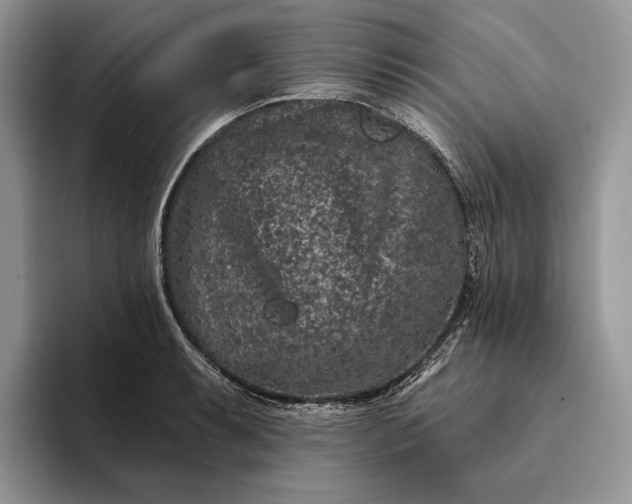 X0000094171087200711091120