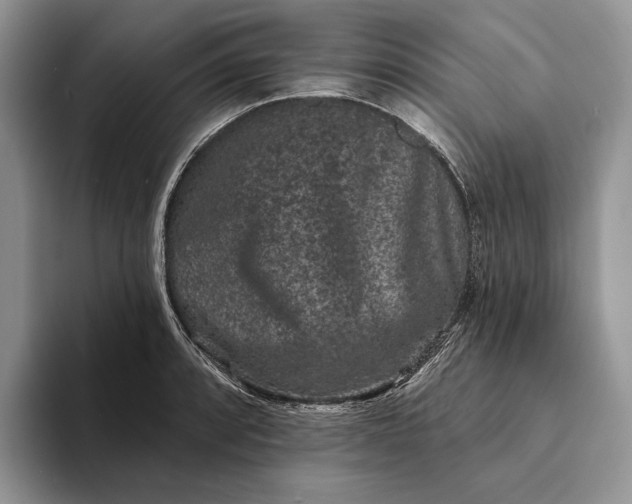 X0000094171088200711091120