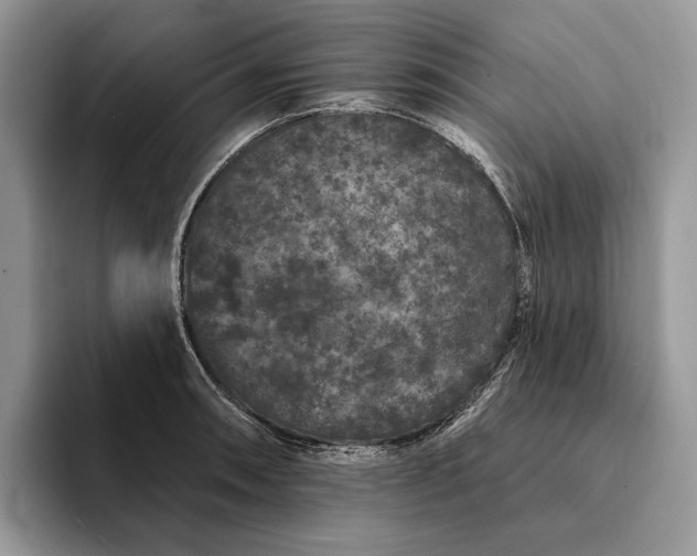 X0000094171090200711091120