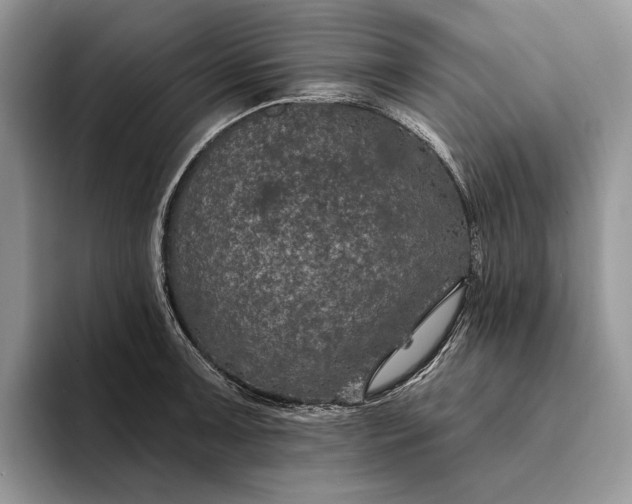 X0000094171091200711091120