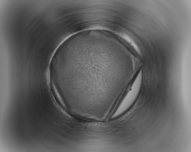 X0000094171092200711091120