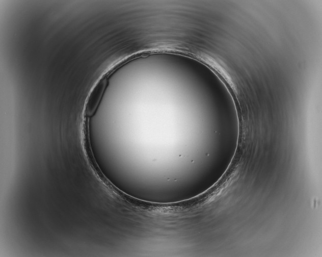 X0000094171093200711091119