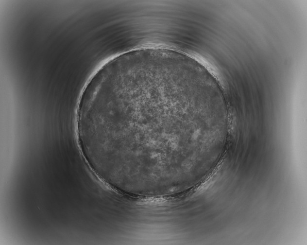 X0000094171094200711091119