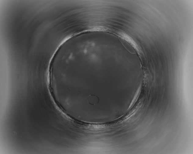 X0000094171095200711091119