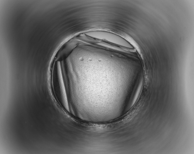 X0000094171096200711091119