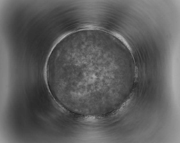 X0000094171098200711091119