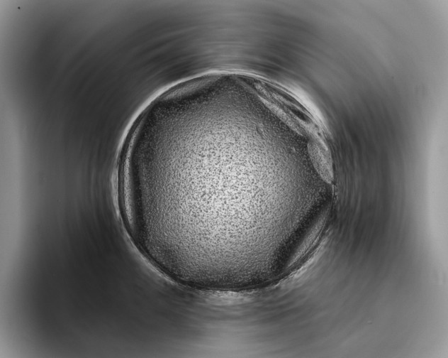 X0000094171100200711091119