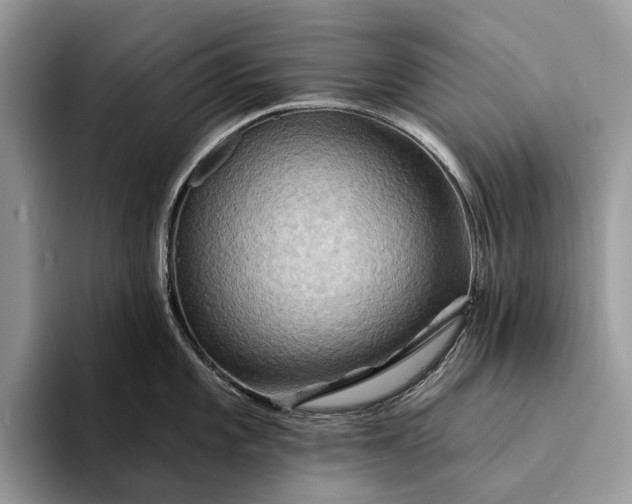 X0000094171101200711091119