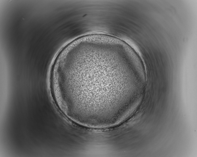 X0000094171104200711091119