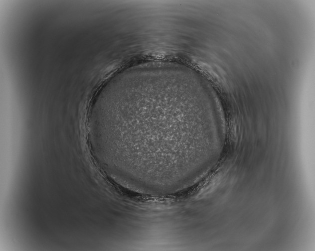 X0000094171105200711091119