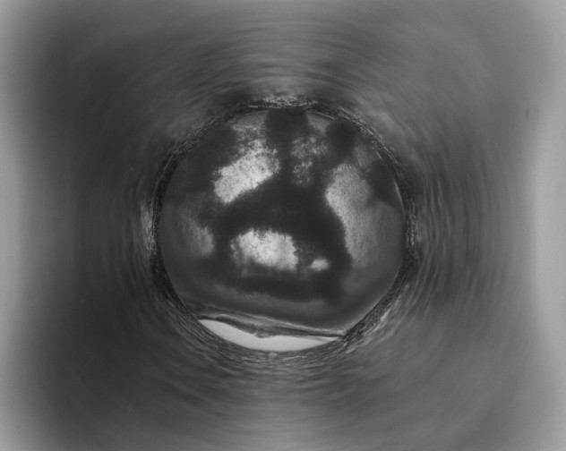 X0000094171106200711091119