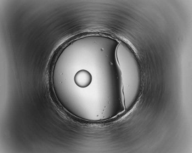 X0000094171114200711091119