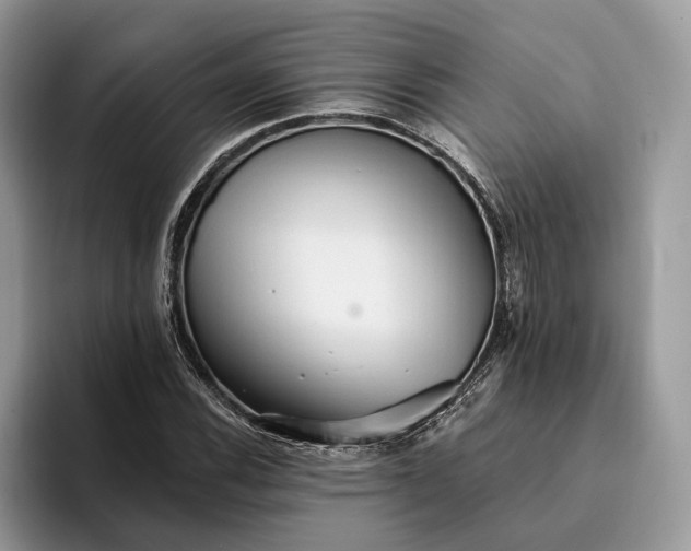 X0000094171116200711091119