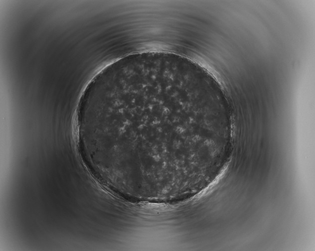 X0000094171117200711091119