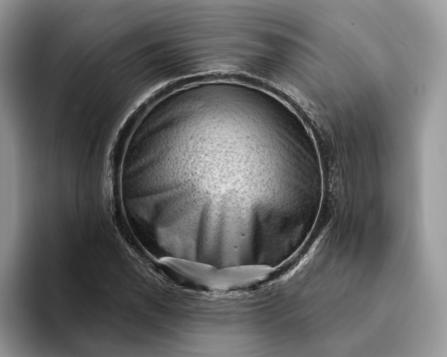 X0000094171118200711091119
