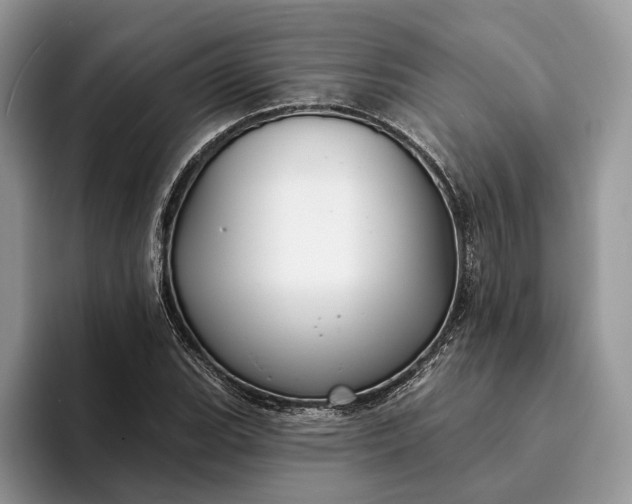 X0000094171119200711091119