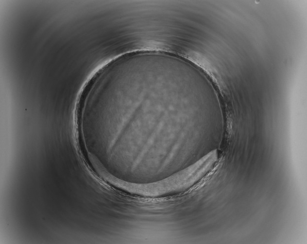 X0000094171120200711091119